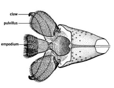 12b